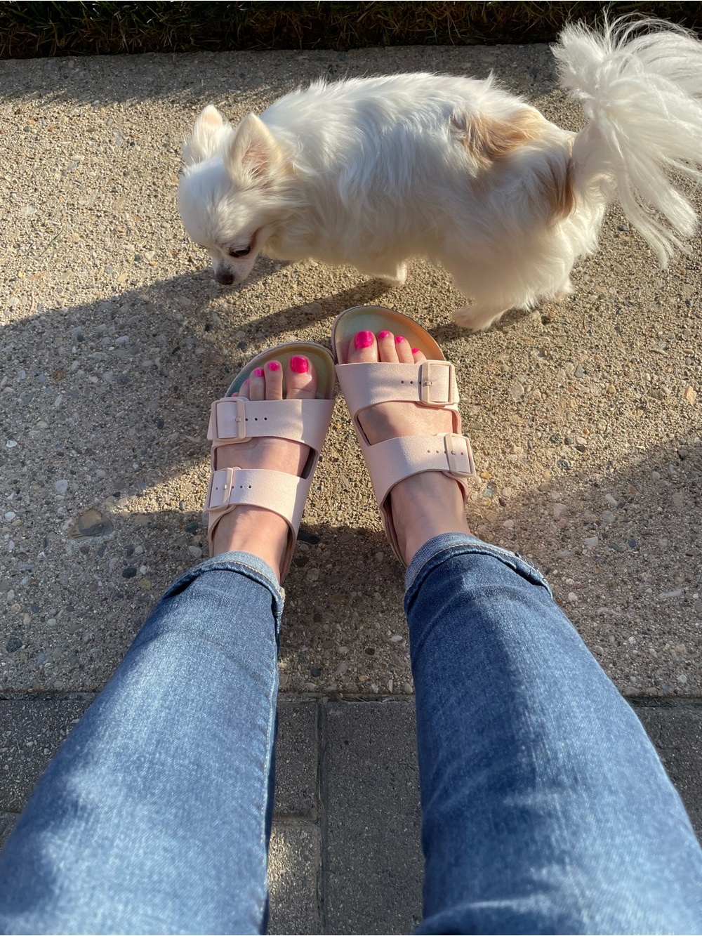 Birkenstock Double-Buckle Slide Sandals in Pale Pink